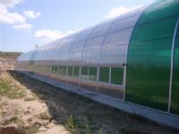 山西，太原阳光板，温室大棚阳光板厂家，阳光棚阳光板8mm透明